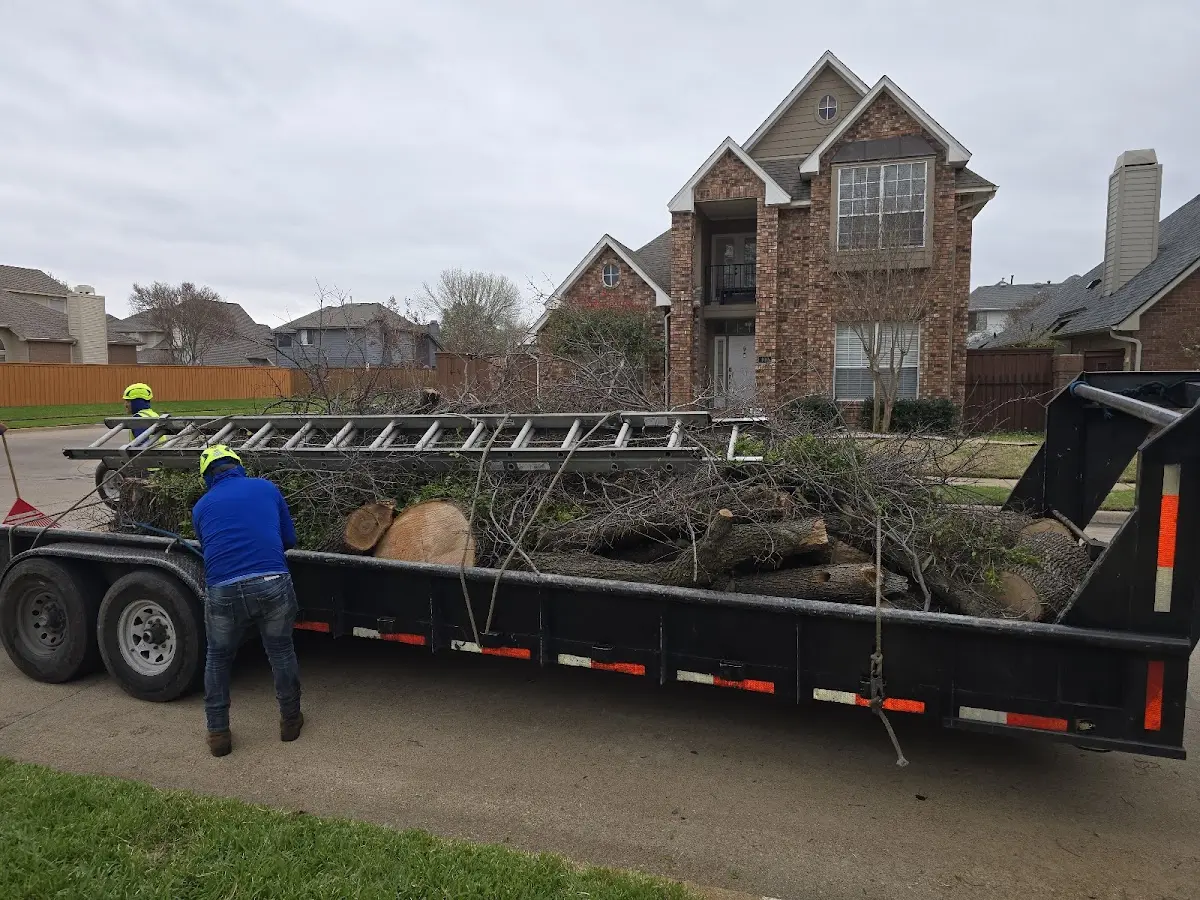 Expert Tree Fertilization with proper safety equipment in Chambersburg